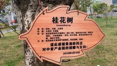 “種”希望！綠化中普，共建美麗家園